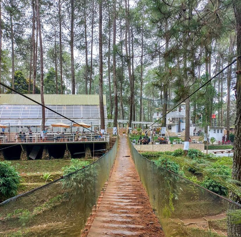 Datang Ke Warung Kopi Gunung Ngopi Di Tengah Alam