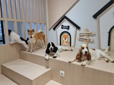 Kastello, dog cafe di jakarta