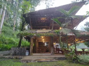 cafe rumahan di Baturaden