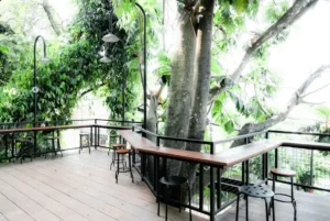 cafe di Semarang atas