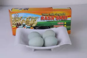 Telur Asin