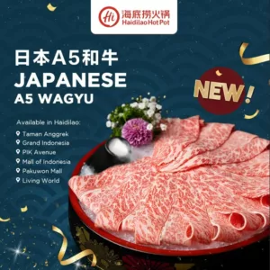 Daging Sapi Wagyu Jepang