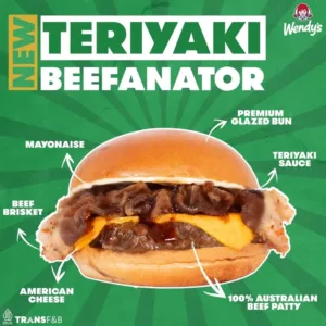 Teriyaki Beefanator